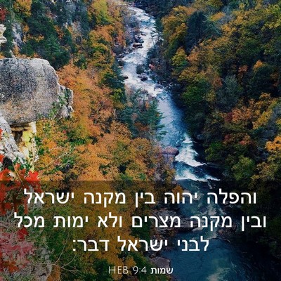 Picture 03 - שמות 9:4 HEB - והפלה יהוה בין מקנה ישראל - Bible Verse Picture