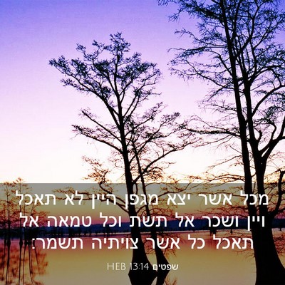 Picture 03 - שפטים 13:14 HEB - מכל אשר יצא מגפן היין לא - Bible Verse Picture