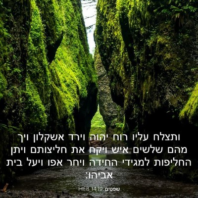 Picture 03 - שפטים 14:19 HEB - ותצלח עליו רוח יהוה וירד - Bible Verse Picture