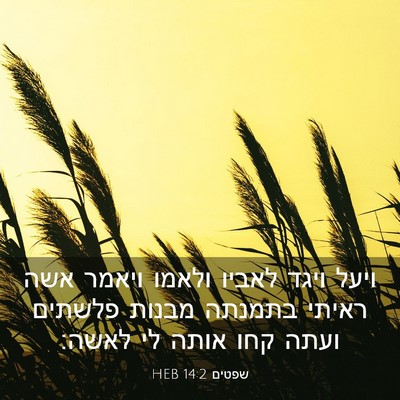 Picture 03 - שפטים 14:2 HEB - ויעל ויגד לאביו ולאמו - Bible Verse Picture