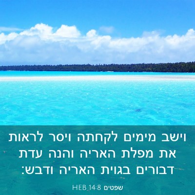 Picture 03 - שפטים 14:8 HEB - וישב מימים לקחתה ויסר - Bible Verse Picture