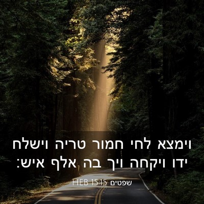 Picture 03 - שפטים 15:15 HEB - וימצא לחי חמור טריה וישלח - Bible Verse Picture