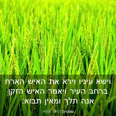 Picture 03 - שפטים 19:17 HEB - וישא עיניו וירא את האיש - Bible Verse Picture