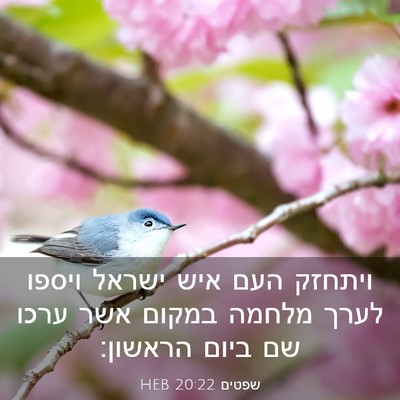 Picture 03 - שפטים 20:22 HEB - ויתחזק העם איש ישראל ויספו - Bible Verse Picture