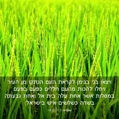Picture 03 - שפטים 20:31 HEB - ויצאו בני בנימן לקראת העם - Bible Verse Picture