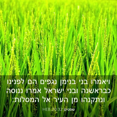 Picture 03 - שפטים 20:32 HEB - ויאמרו בני בנימן נגפים הם - Bible Verse Picture