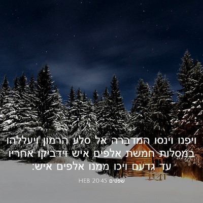 Picture 03 - שפטים 20:45 HEB - ויפנו וינסו המדברה אל סלע - Bible Verse Picture