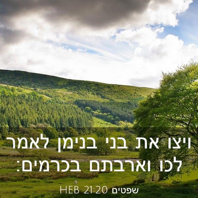 Picture 03 - שפטים 21:20 HEB - ויצו את בני בנימן לאמר לכו - Bible Verse Picture