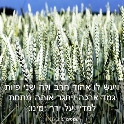 Picture 03 - שפטים 3:16 HEB - ויעש לו אהוד חרב ולה שני - Bible Verse Picture