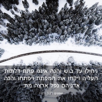Picture 03 - שפטים 3:25 HEB - ויחילו עד בוש והנה איננו - Bible Verse Picture