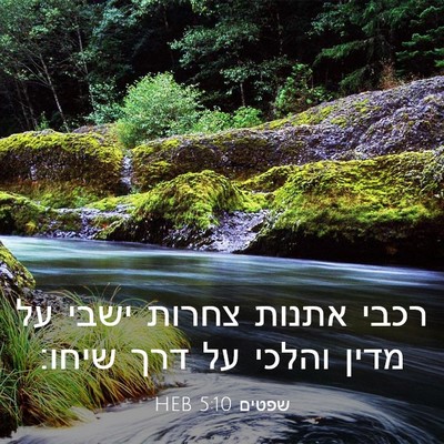 Picture 03 - שפטים 5:10 HEB - רכבי אתנות צחרות ישבי על - Bible Verse Picture