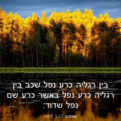 Picture 03 - שפטים 5:27 HEB - בין רגליה כרע נפל שכב בין - Bible Verse Picture