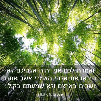 Picture 03 - שפטים 6:10 HEB - ואמרה לכם אני יהוה אלהיכם - Bible Verse Picture
