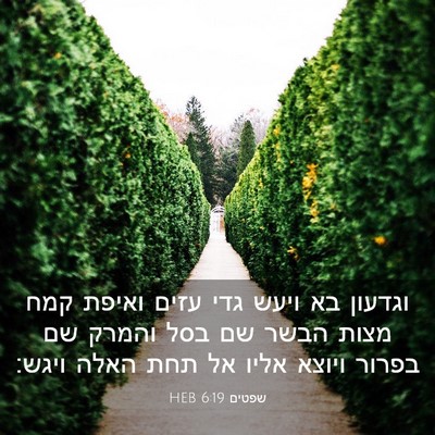Picture 03 - שפטים 6:19 HEB - וגדעון בא ויעש גדי עזים - Bible Verse Picture