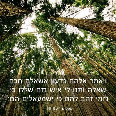 Picture 03 - שפטים 8:24 HEB - ויאמר אלהם גדעון אשאלה מכם - Bible Verse Picture
