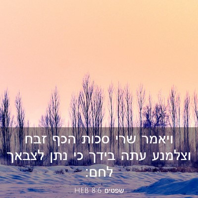 Picture 03 - שפטים 8:6 HEB - ויאמר שרי סכות הכף זבח - Bible Verse Picture