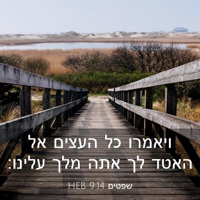 Picture 03 - שפטים 9:14 HEB - ויאמרו כל העצים אל האטד לך - Bible Verse Picture