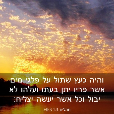 Picture 03 - תהלים 1:3 HEB - והיה כעץ שתול על פלגי מים - Bible Verse Picture