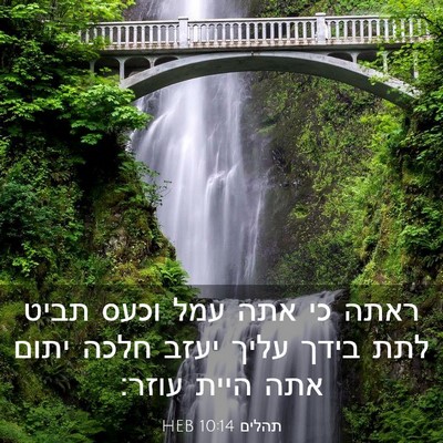 Picture 03 - תהלים 10:14 HEB - ראתה כי אתה עמל וכעס תביט - Bible Verse Picture