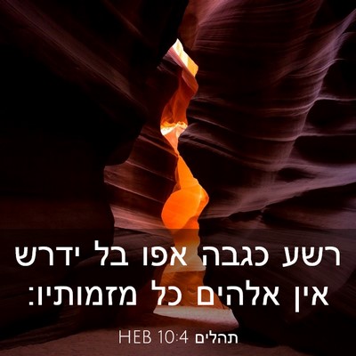 Picture 03 - תהלים 10:4 HEB - רשע כגבה אפו בל ידרש אין - Bible Verse Picture