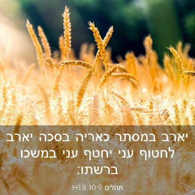 Picture 03 - תהלים 10:9 HEB - יארב במסתר כאריה בסכה יארב - Bible Verse Picture
