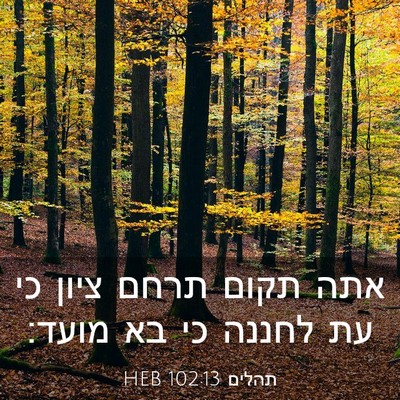 Picture 03 - תהלים 102:13 HEB - אתה תקום תרחם ציון כי עת - Bible Verse Picture