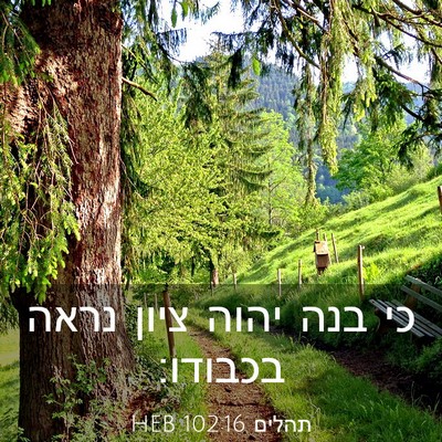 Picture 03 - תהלים 102:16 HEB - כי בנה יהוה ציון נראה - Bible Verse Picture