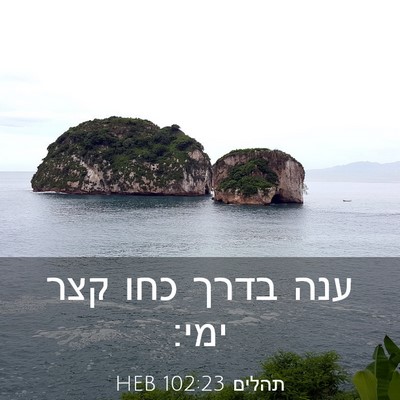 Picture 03 - תהלים 102:23 HEB - ענה בדרך כחו קצר - Bible Verse Picture