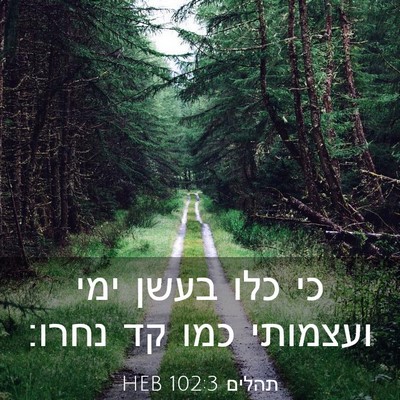 Picture 03 - תהלים 102:3 HEB - כי כלו בעשן ימי ועצמותי כמו - Bible Verse Picture
