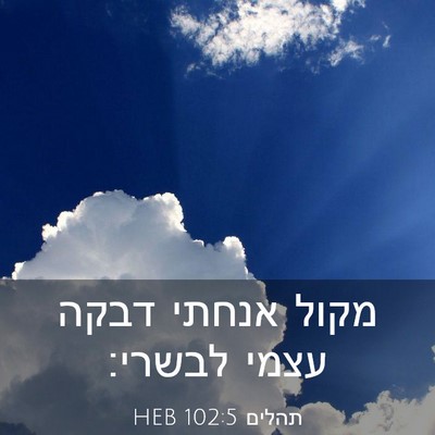 Picture 03 - תהלים 102:5 HEB - מקול אנחתי דבקה עצמי - Bible Verse Picture