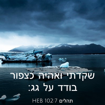 Picture 03 - תהלים 102:7 HEB - שקדתי ואהיה כצפור בודד על - Bible Verse Picture