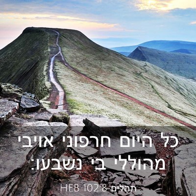 Picture 03 - תהלים 102:8 HEB - כל היום חרפוני אויבי - Bible Verse Picture