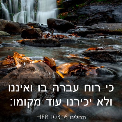 Picture 03 - תהלים 103:16 HEB - כי רוח עברה בו ואיננו ולא - Bible Verse Picture