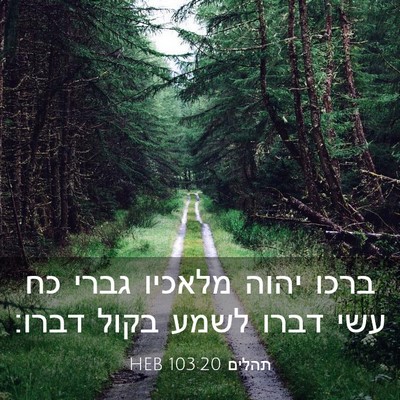 Picture 03 - תהלים 103:20 HEB - ברכו יהוה מלאכיו גברי כח - Bible Verse Picture
