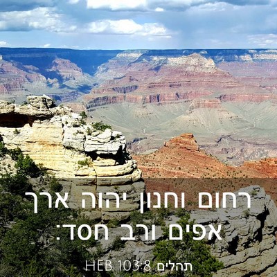 Picture 03 - תהלים 103:8 HEB - רחום וחנון יהוה ארך אפים - Bible Verse Picture