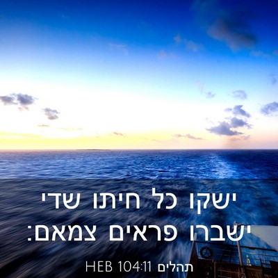 Picture 03 - תהלים 104:11 HEB - ישקו כל חיתו שדי ישברו - Bible Verse Picture