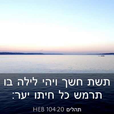 Picture 03 - תהלים 104:20 HEB - תשת חשך ויהי לילה בו תרמש - Bible Verse Picture
