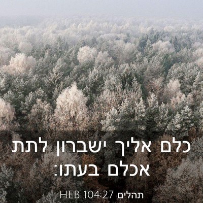 Picture 03 - תהלים 104:27 HEB - כלם אליך ישברון לתת אכלם - Bible Verse Picture