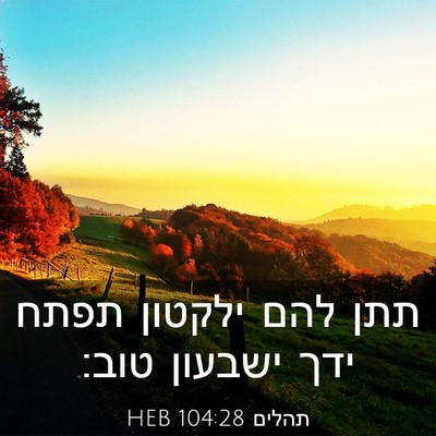 Picture 03 - תהלים 104:28 HEB - תתן להם ילקטון תפתח ידך - Bible Verse Picture