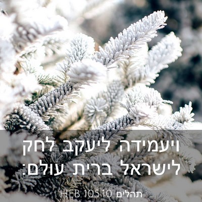Picture 03 - תהלים 105:10 HEB - ויעמידה ליעקב לחק לישראל - Bible Verse Picture