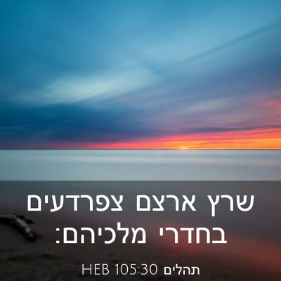 Picture 03 - תהלים 105:30 HEB - שרץ ארצם צפרדעים בחדרי - Bible Verse Picture