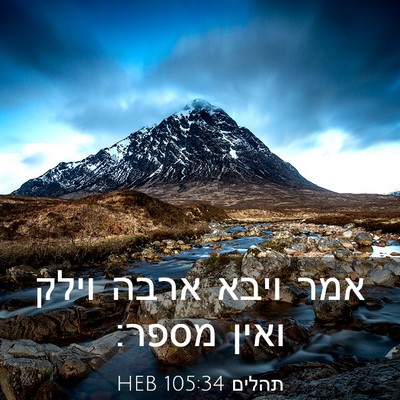 Picture 03 - תהלים 105:34 HEB - אמר ויבא ארבה וילק ואין - Bible Verse Picture