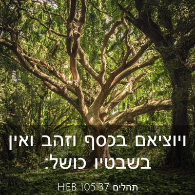 Picture 03 - תהלים 105:37 HEB - ויוציאם בכסף וזהב ואין - Bible Verse Picture