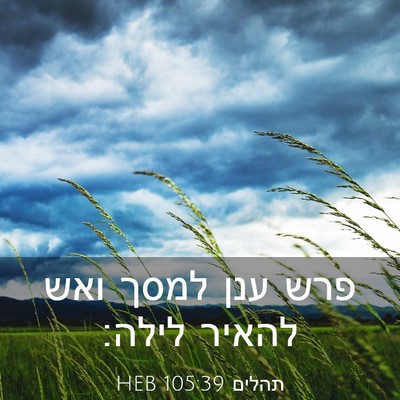 Picture 03 - תהלים 105:39 HEB - פרש ענן למסך ואש להאיר - Bible Verse Picture