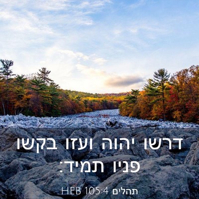 Picture 03 - תהלים 105:4 HEB - דרשו יהוה ועזו בקשו פניו - Bible Verse Picture