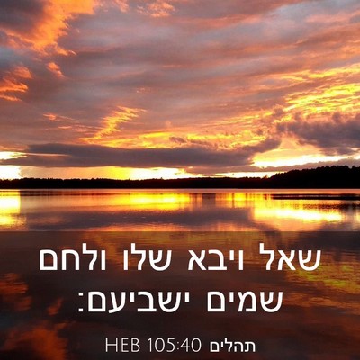 Picture 03 - תהלים 105:40 HEB - שאל ויבא שלו ולחם שמים - Bible Verse Picture
