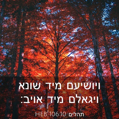 Picture 03 - תהלים 106:10 HEB - ויושיעם מיד שונא ויגאלם - Bible Verse Picture