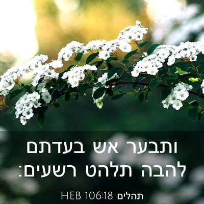 Picture 03 - תהלים 106:18 HEB - ותבער אש בעדתם להבה תלהט - Bible Verse Picture