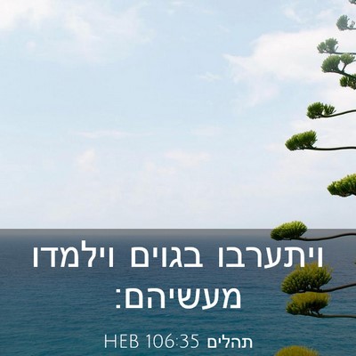Picture 03 - תהלים 106:35 HEB - ויתערבו בגוים וילמדו - Bible Verse Picture