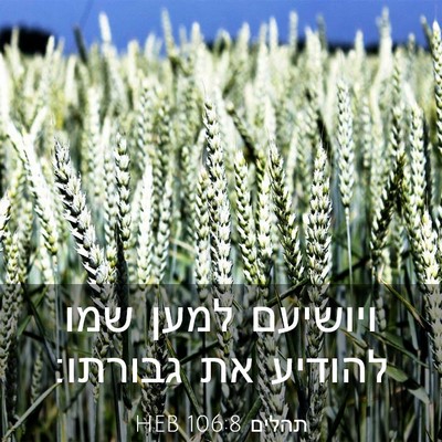 Picture 03 - תהלים 106:8 HEB - ויושיעם למען שמו להודיע את - Bible Verse Picture